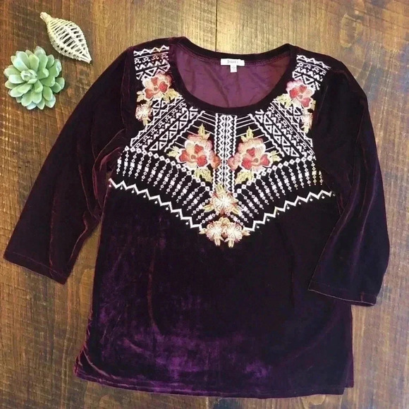 Jodifl | Velvet Top with Embroidery, 3/4 Sleeve - Picture 2 of 6